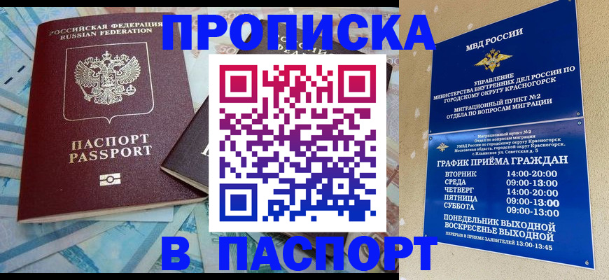 найти адрес прописки в Электростали
